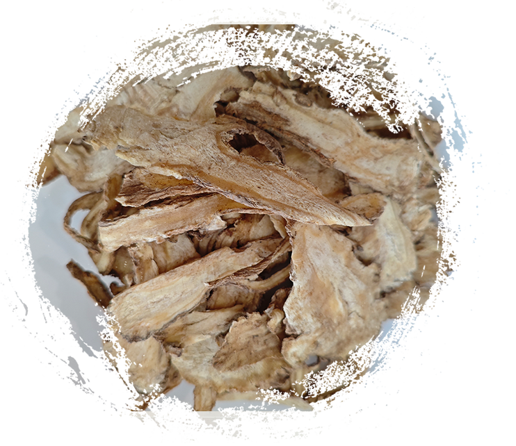 Điều gì làm cho cây thuốc thảo dược TCM mạnh mẽ như vậy? Giải thích các tính năng