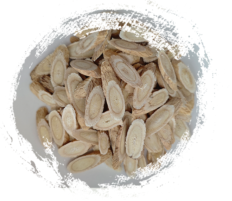 Hiểu về thực vật Y học cổ truyền Trung Quốc: Thảo dược và công dụng truyền thống của chúng