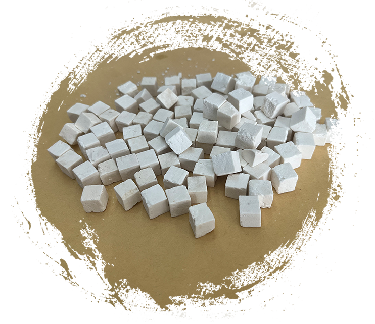 Wolfiporia extensa (một loại nấm mục gỗ)