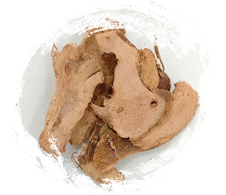 Riềng nhỏ (Kaempferia galanga)