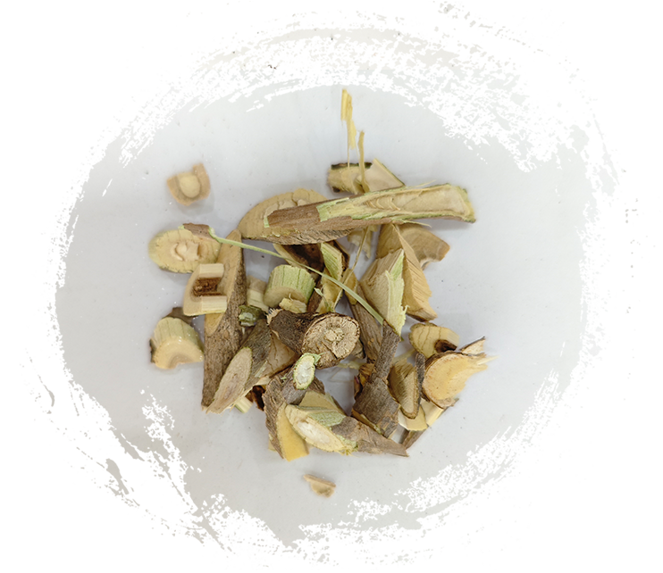 Nhiều loại cây (Acanthopanax senticosus)