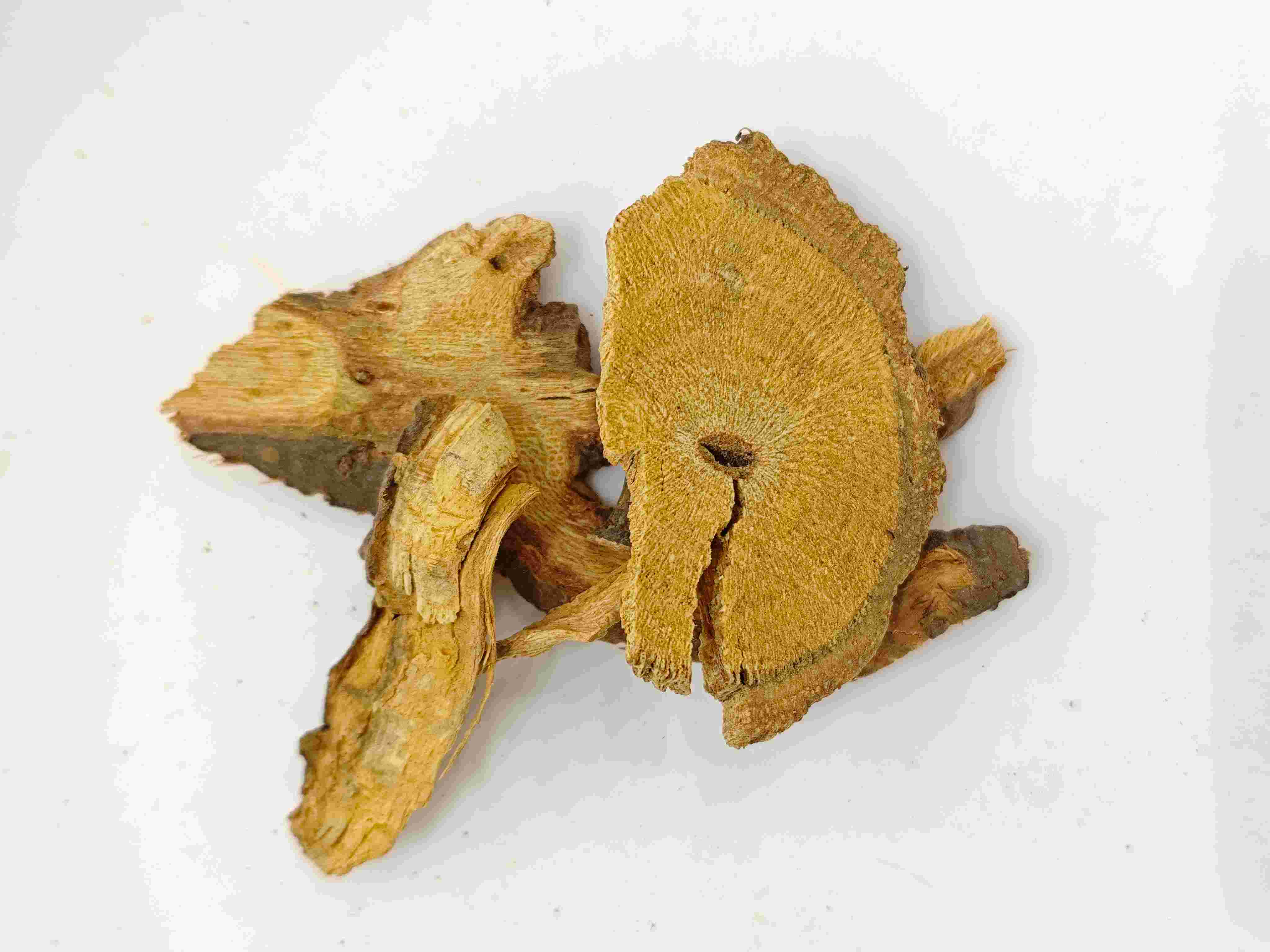 Nhật Bản n&uacute;t