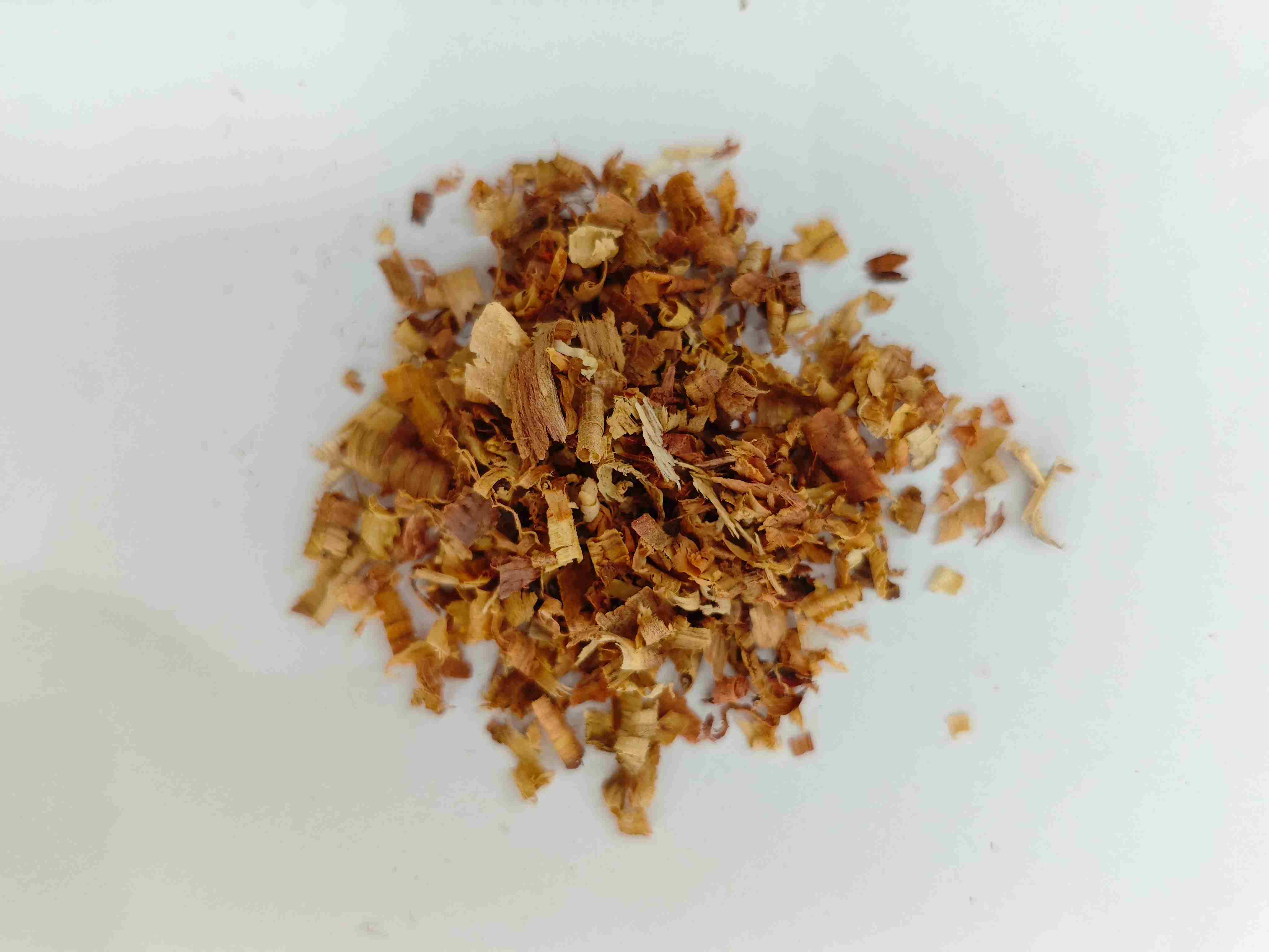 Aquilaria, Giang Tô