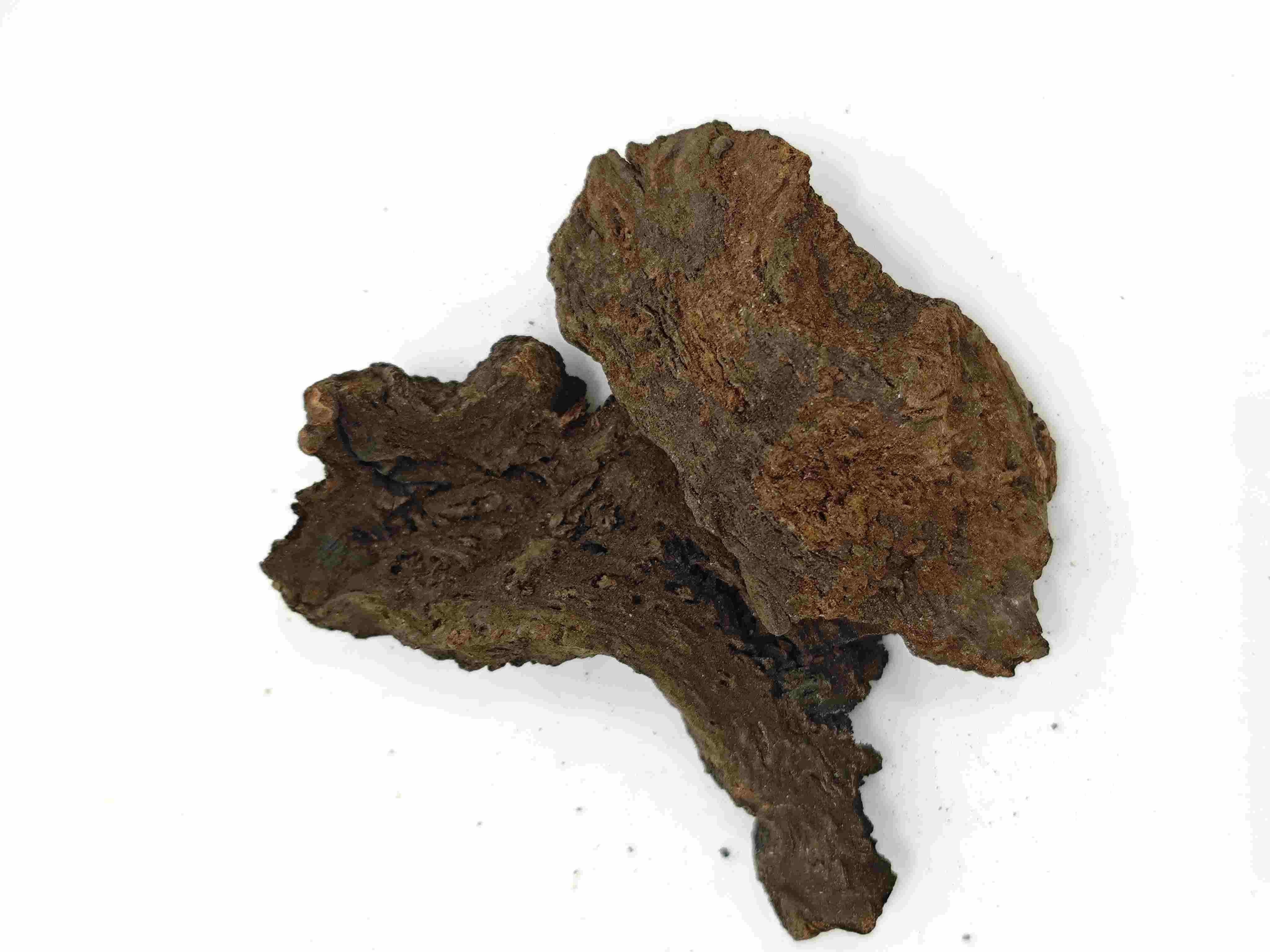 Chuẩn bị đại hoàng với rượu, Jiu Dahuang