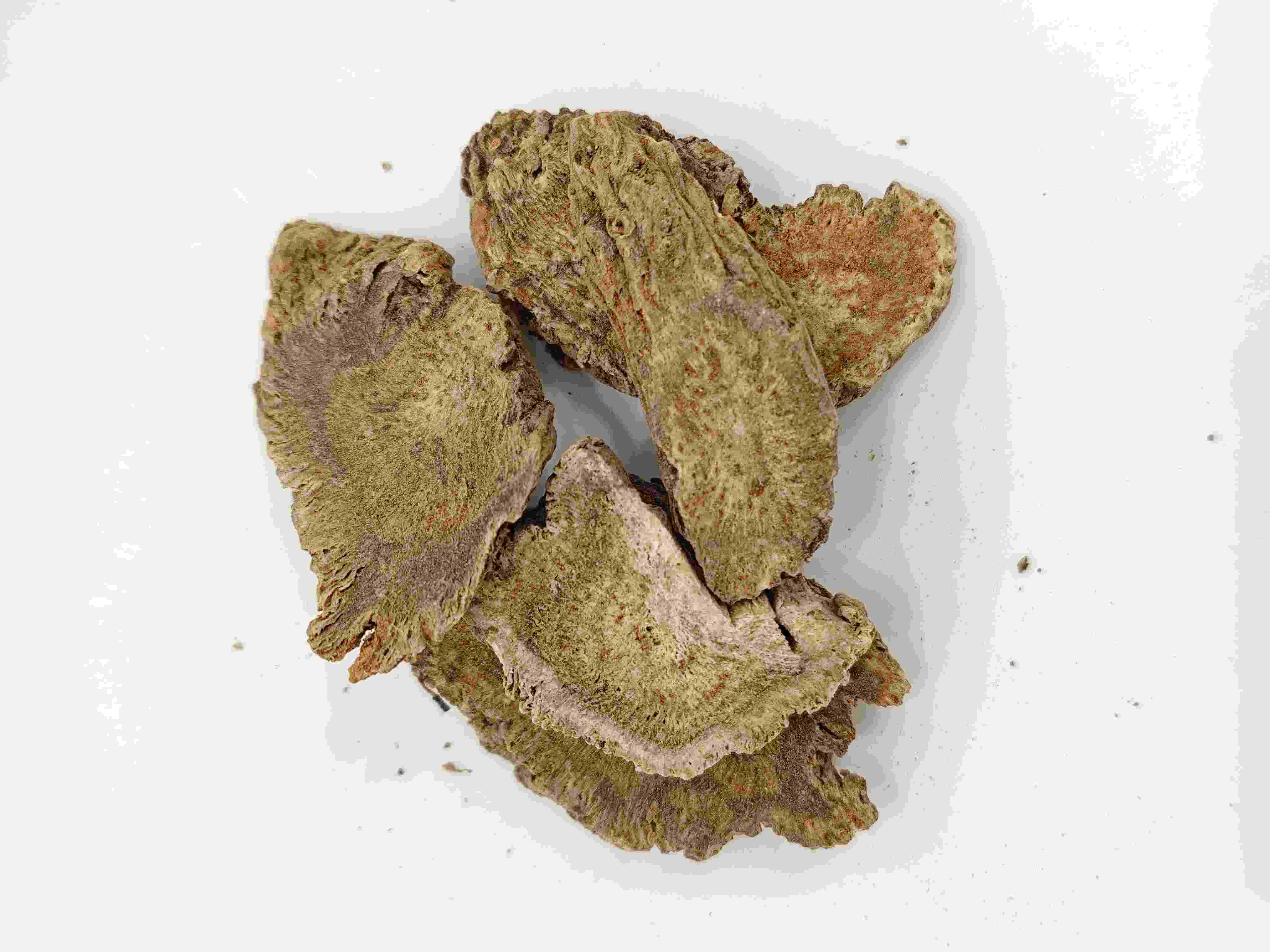 Root Costus, muxiang