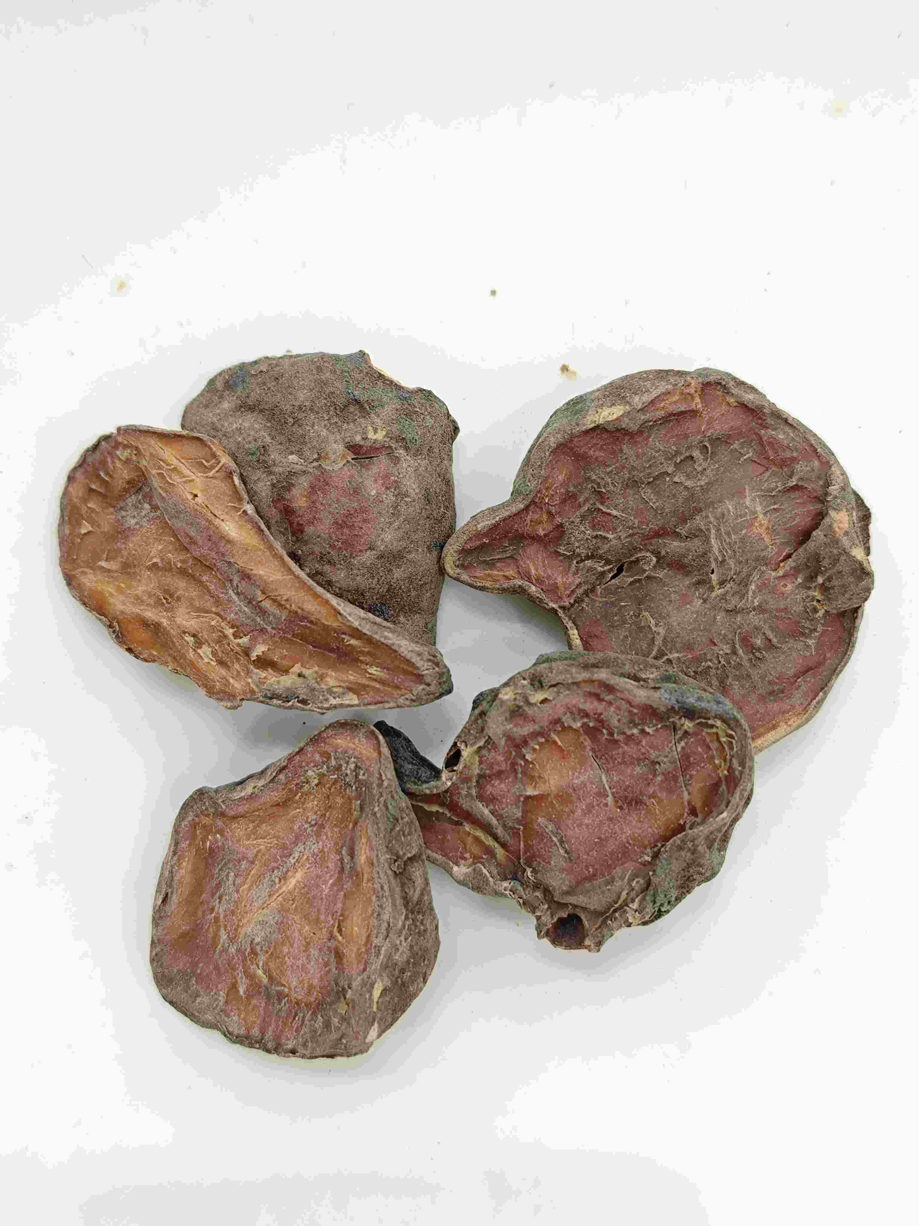 Chuẩn bị lát aconite, paofupian