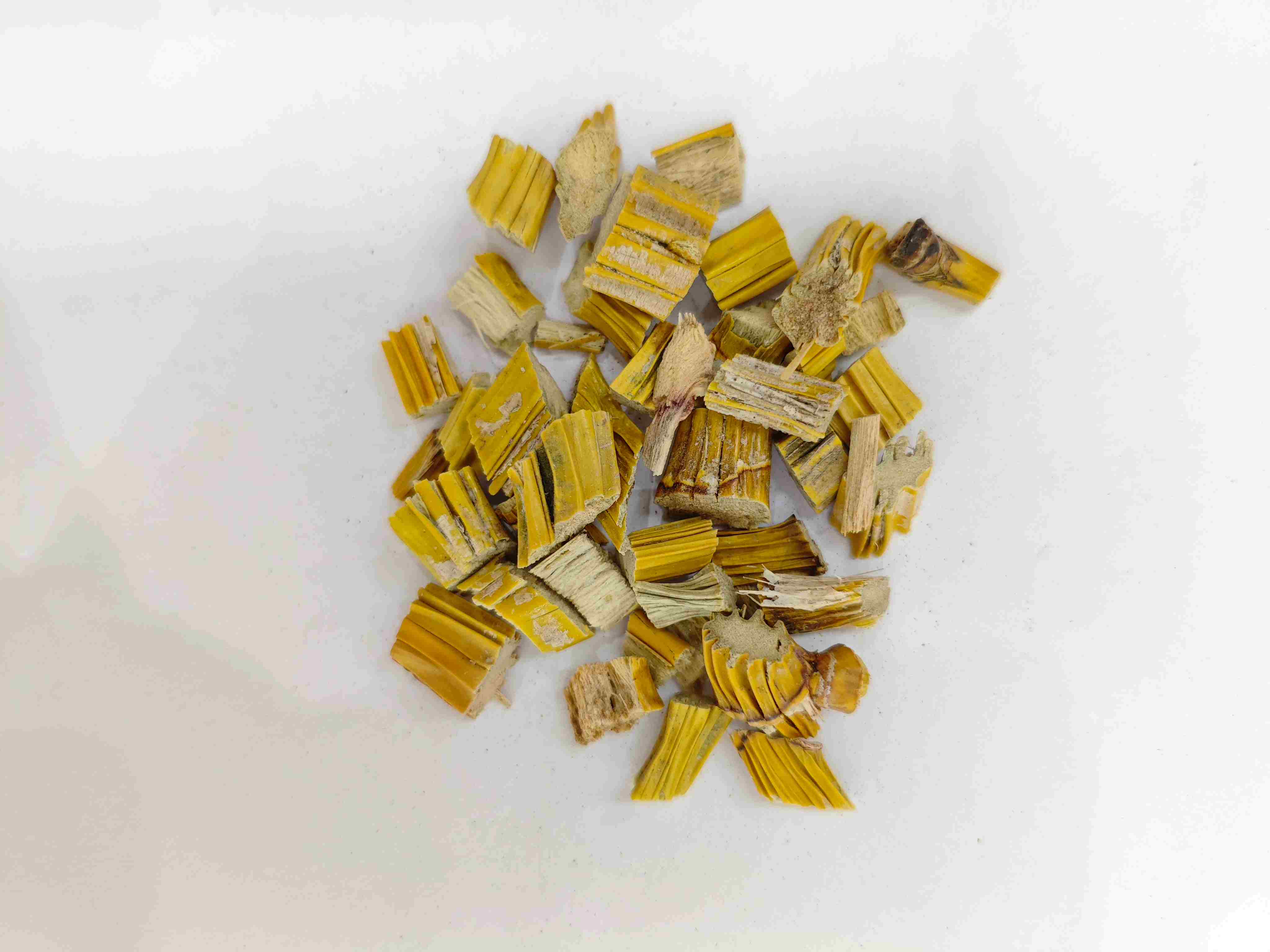 Th&acirc;n c&acirc;y Dendrobium (Shihu)