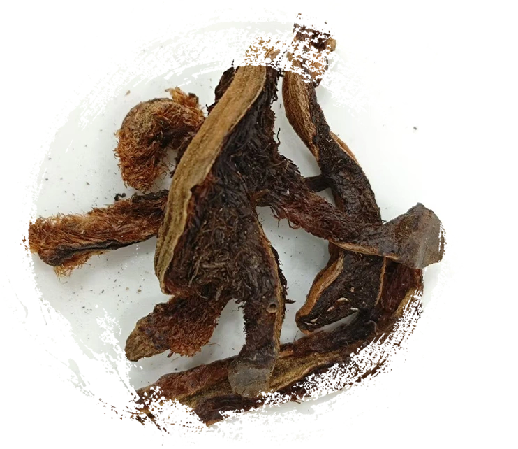 Sửa chữa mảnh xương