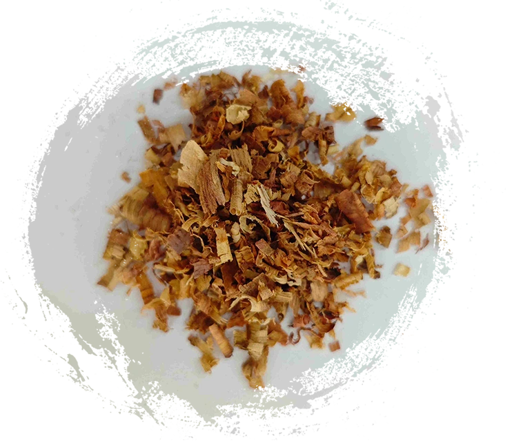 Aquilaria, Giang Tô