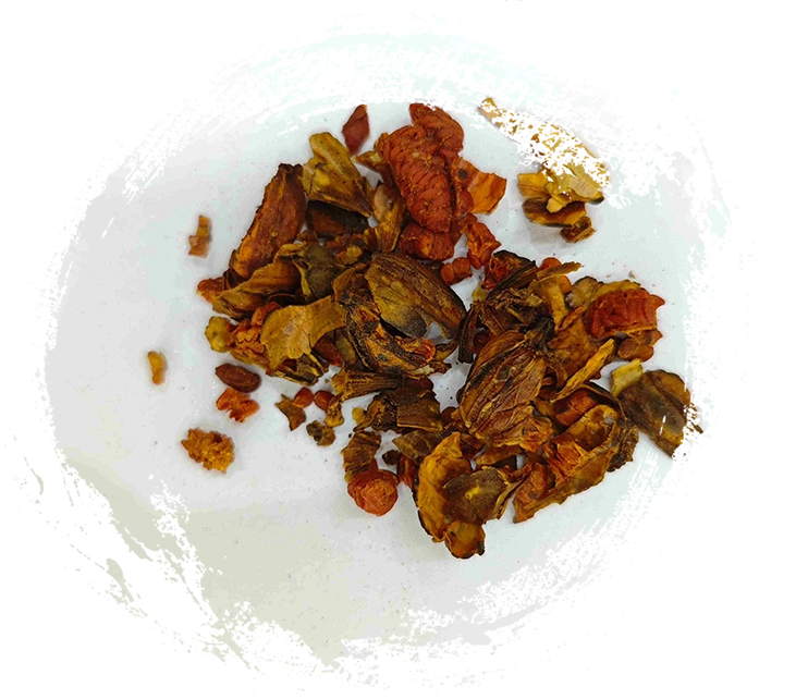 Gardenia thiêu đốt, Jiaozhizi