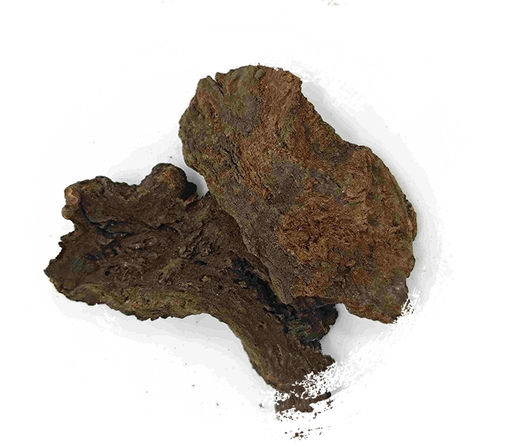 Chuẩn bị đại hoàng với rượu, Jiu Dahuang