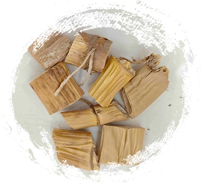 Sậy thân rễ, Lugen