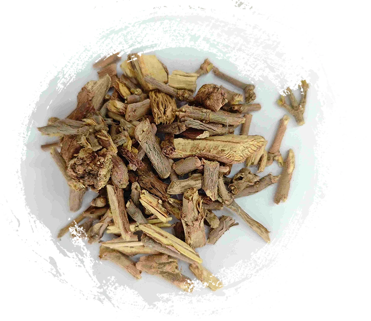 Rễ Ephedra, Mahuanggen