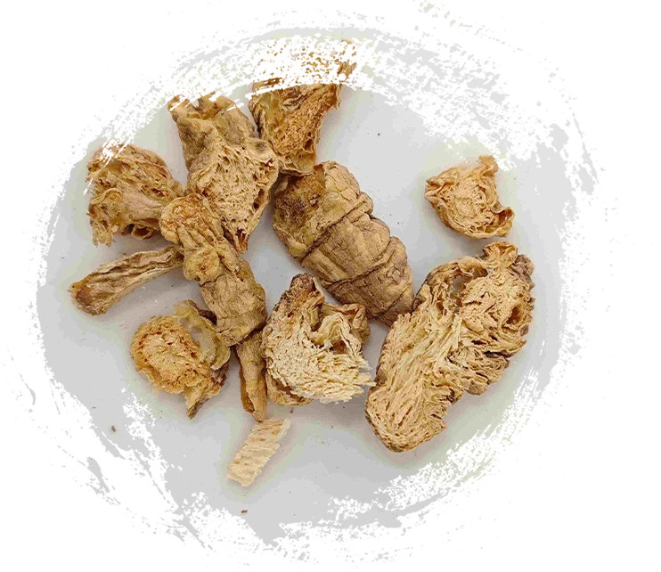 Codonopsis miền Nam, Nan Sha Shen