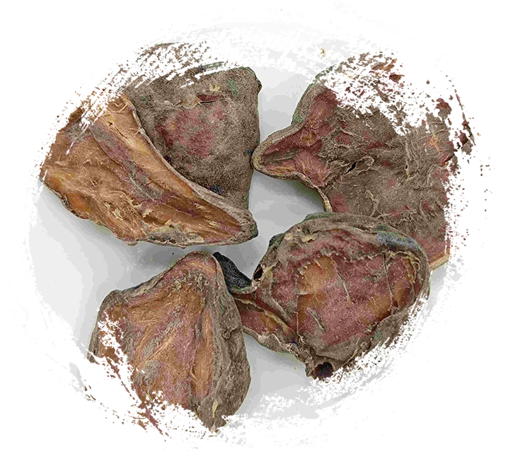 Chuẩn bị lát aconite, paofupian