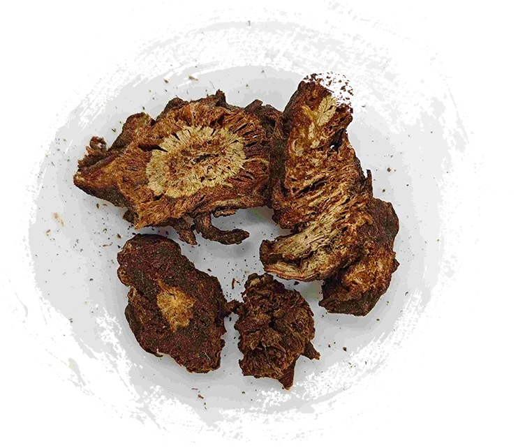 Notopterygium, qighuo