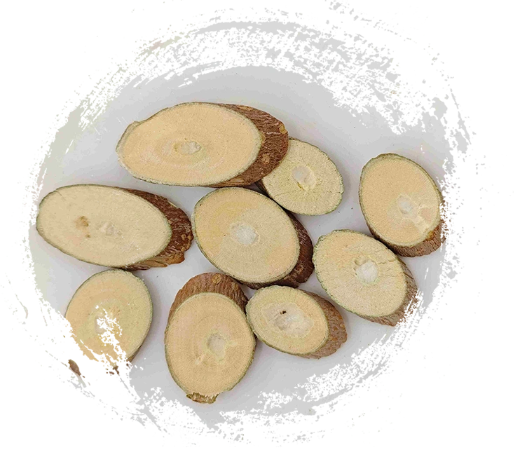 Chi nhánh dâu (Sangzhi)