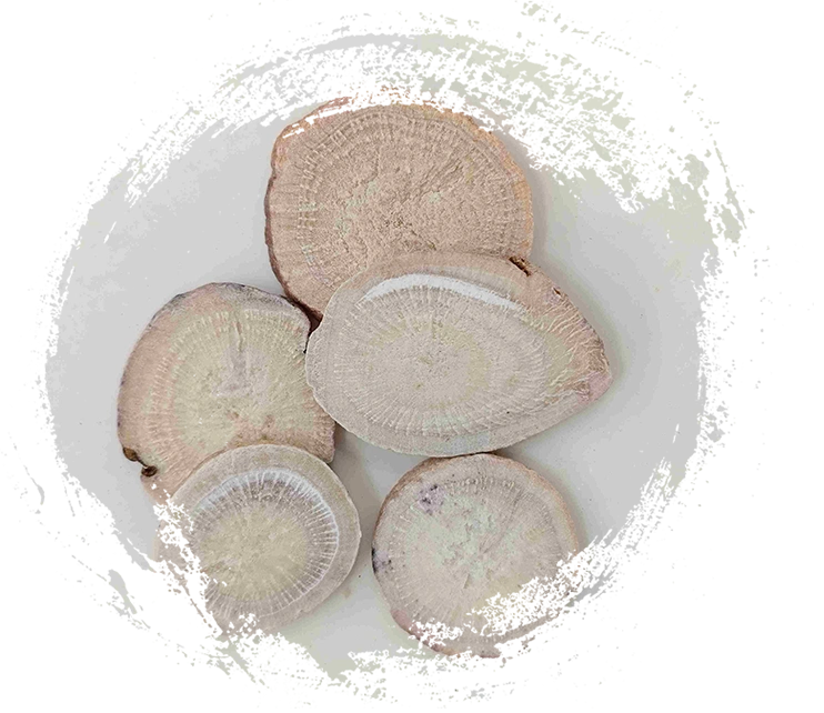 Rễ cây mẫu đơn trắng (Sheng Baishao)