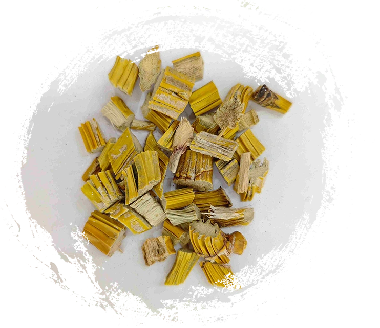 Thân cây Dendrobium (Shihu)