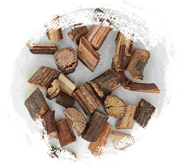 Thân đa đa giác (Shouwuteng)