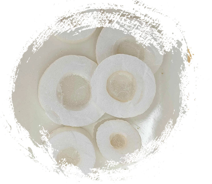 Thảo mộc Tungcao (Tongcao)