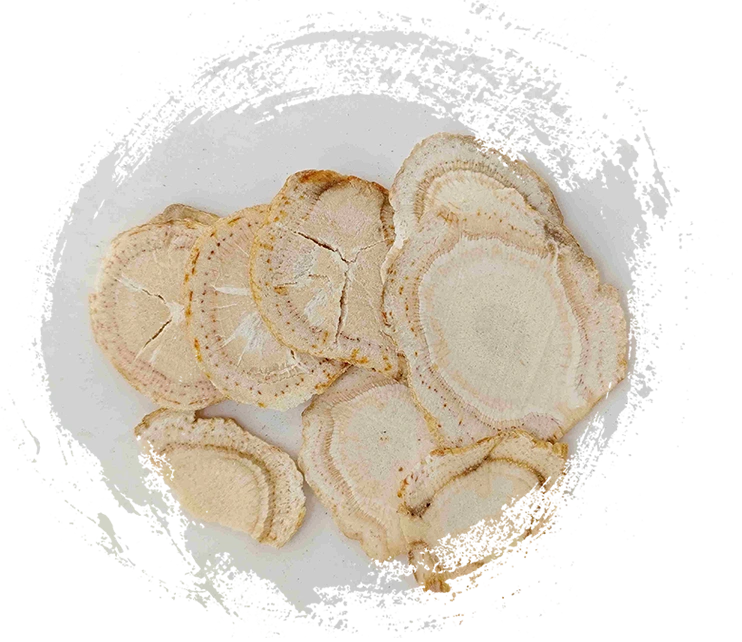 Khám phá sức mạnh của y học cổ truyền Trung Quốc với thảo dược TCM