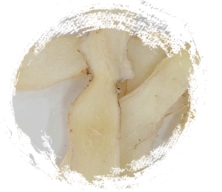 Con dấu của Solomon (Yuzhu)