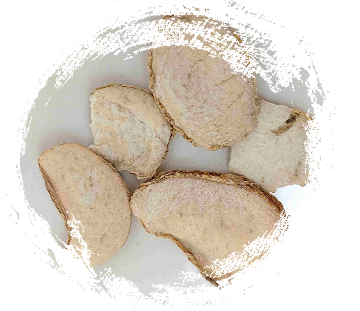 Bóng đèn Fritillary Zhejiang (Zhebeimu)