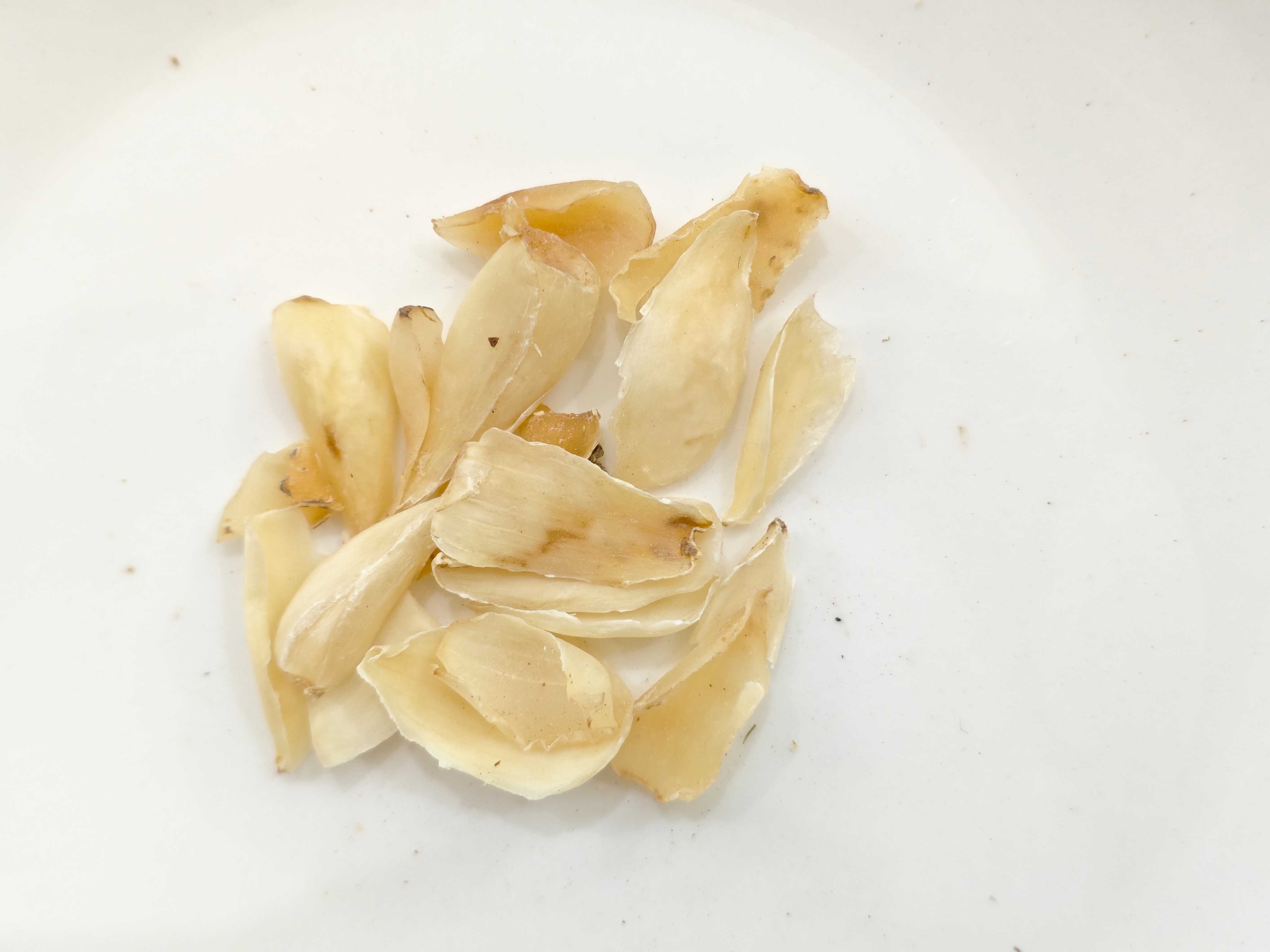 Bóng đèn Lily (Baihe)