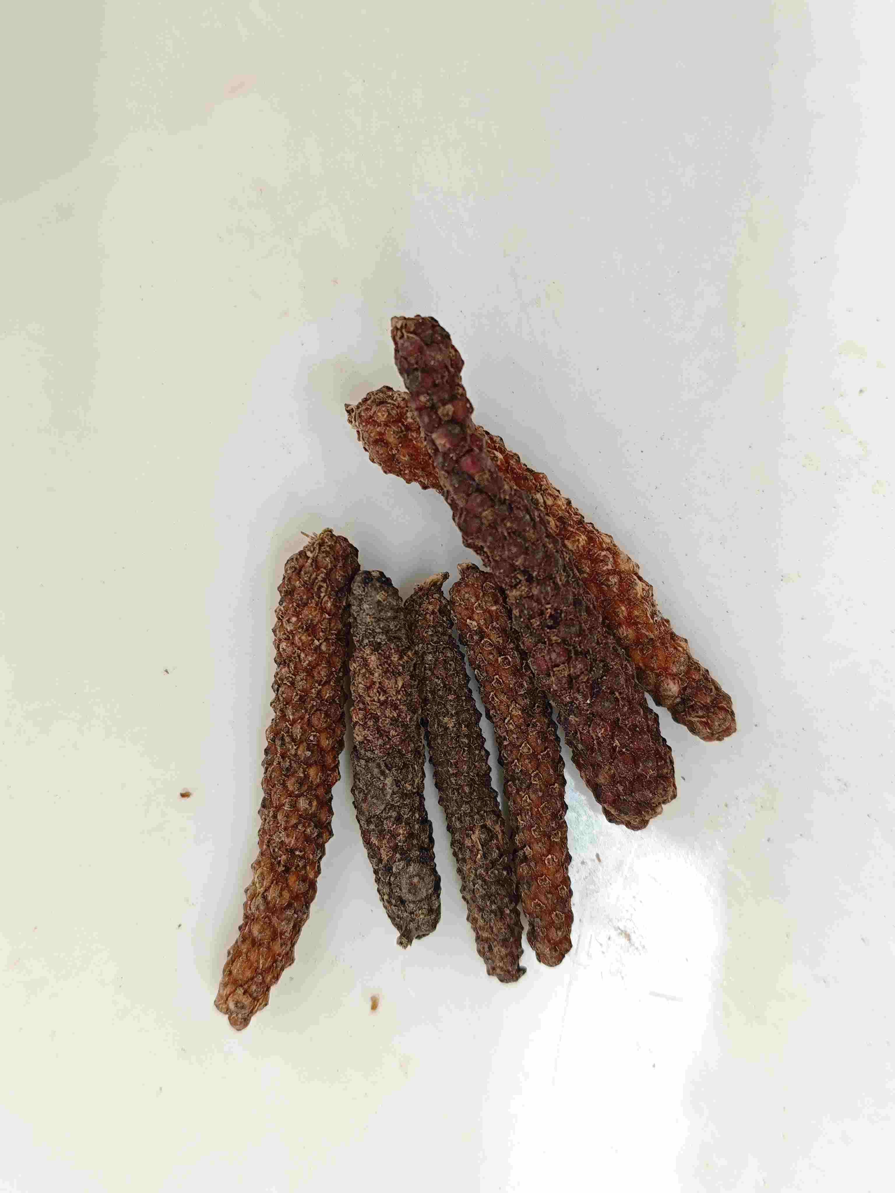 Piper Longum Fruit (B&igrave; B&aacute;)