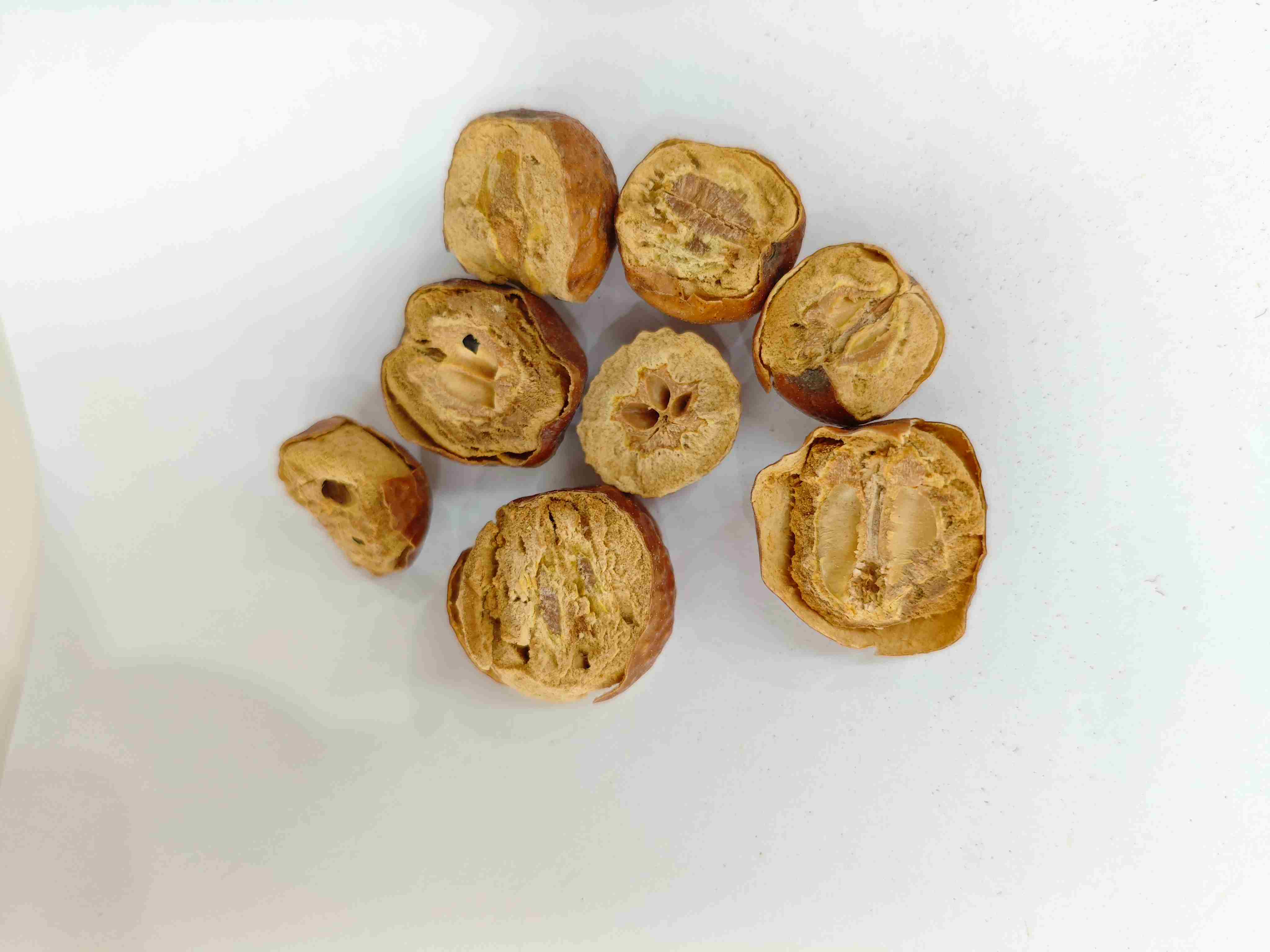 Tr&aacute;i c&acirc;y Toosendan (Chuān Li&aacute;n Zǐ)