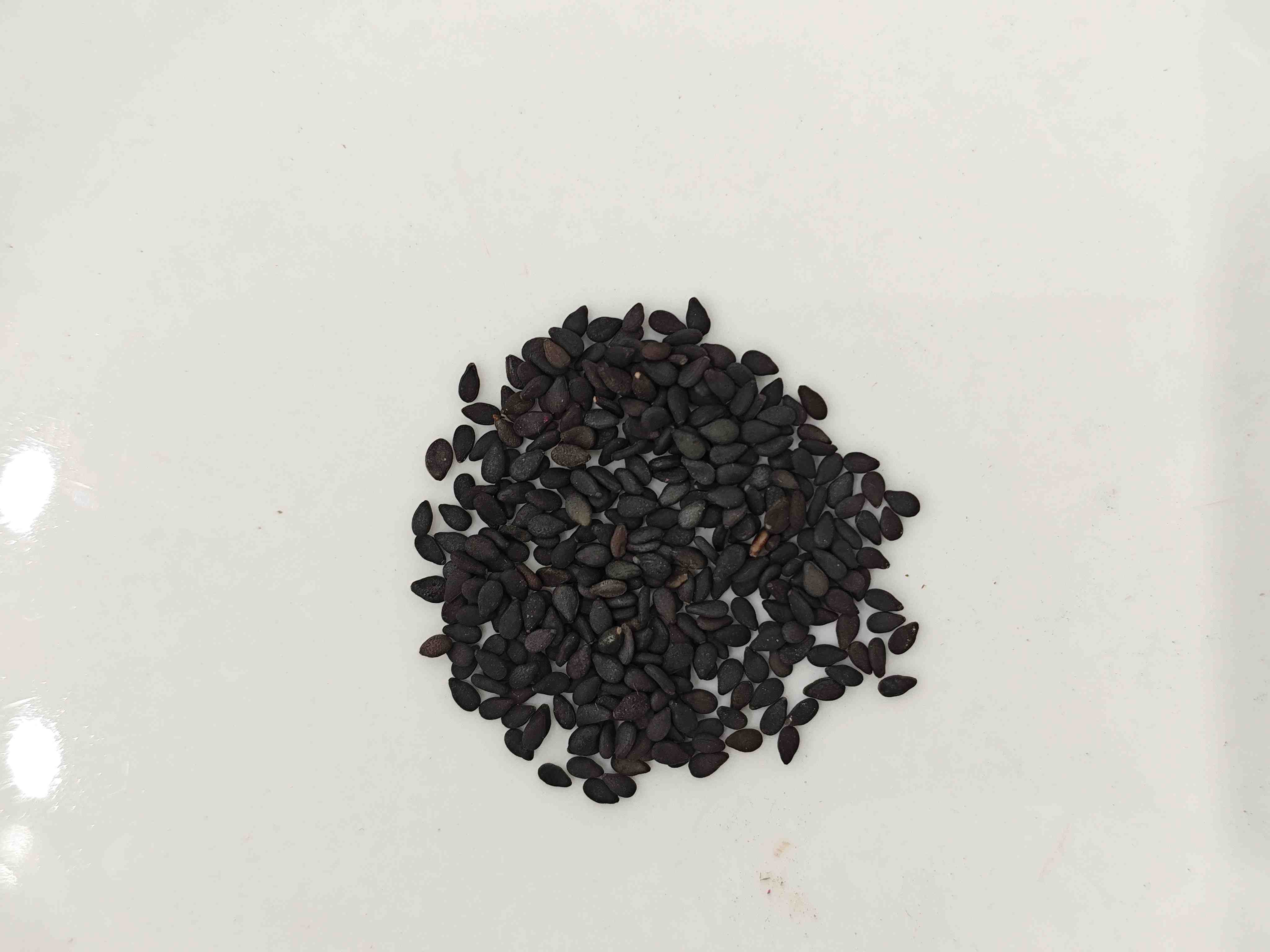 Hạt vừng đen (Hēi Zhīm&aacute;)