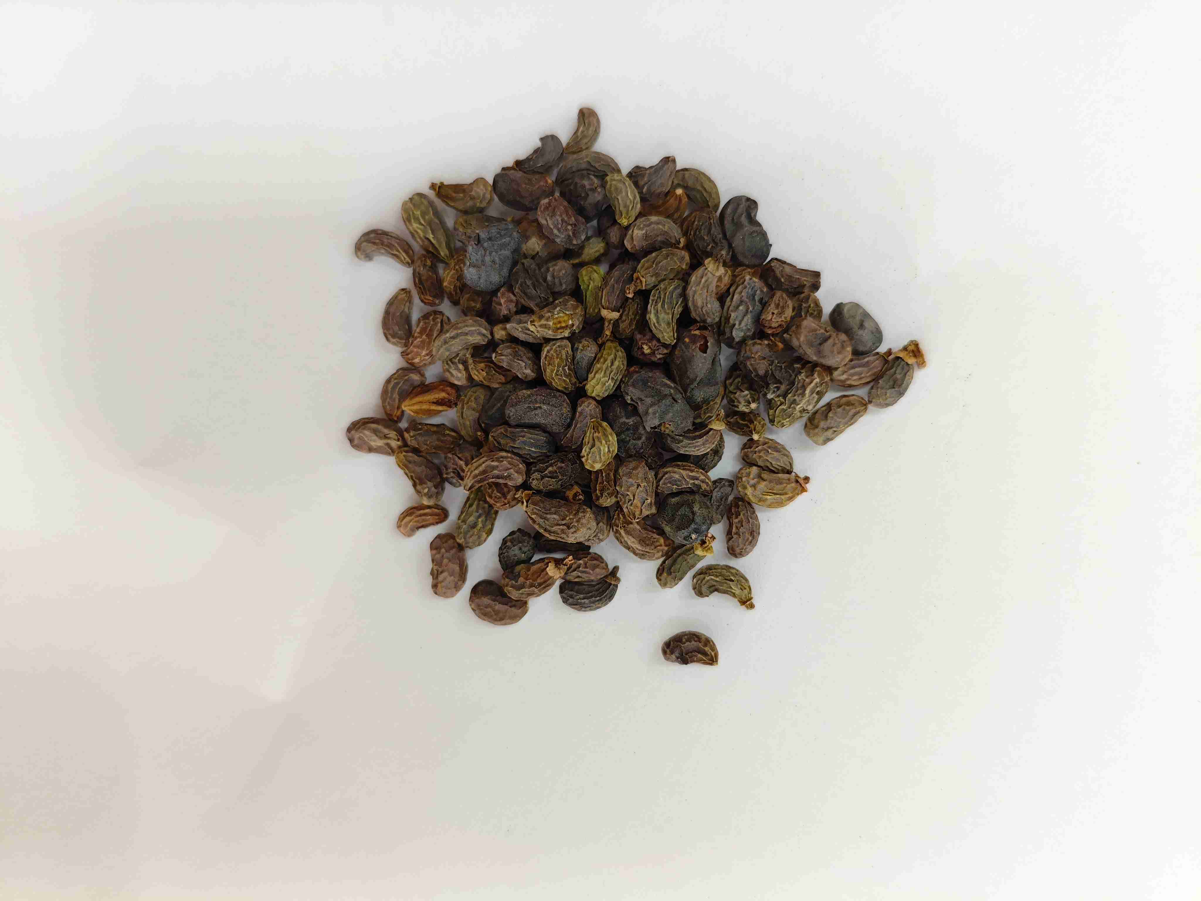 Trái cây ligustrum (nǚzhēnzǐ)