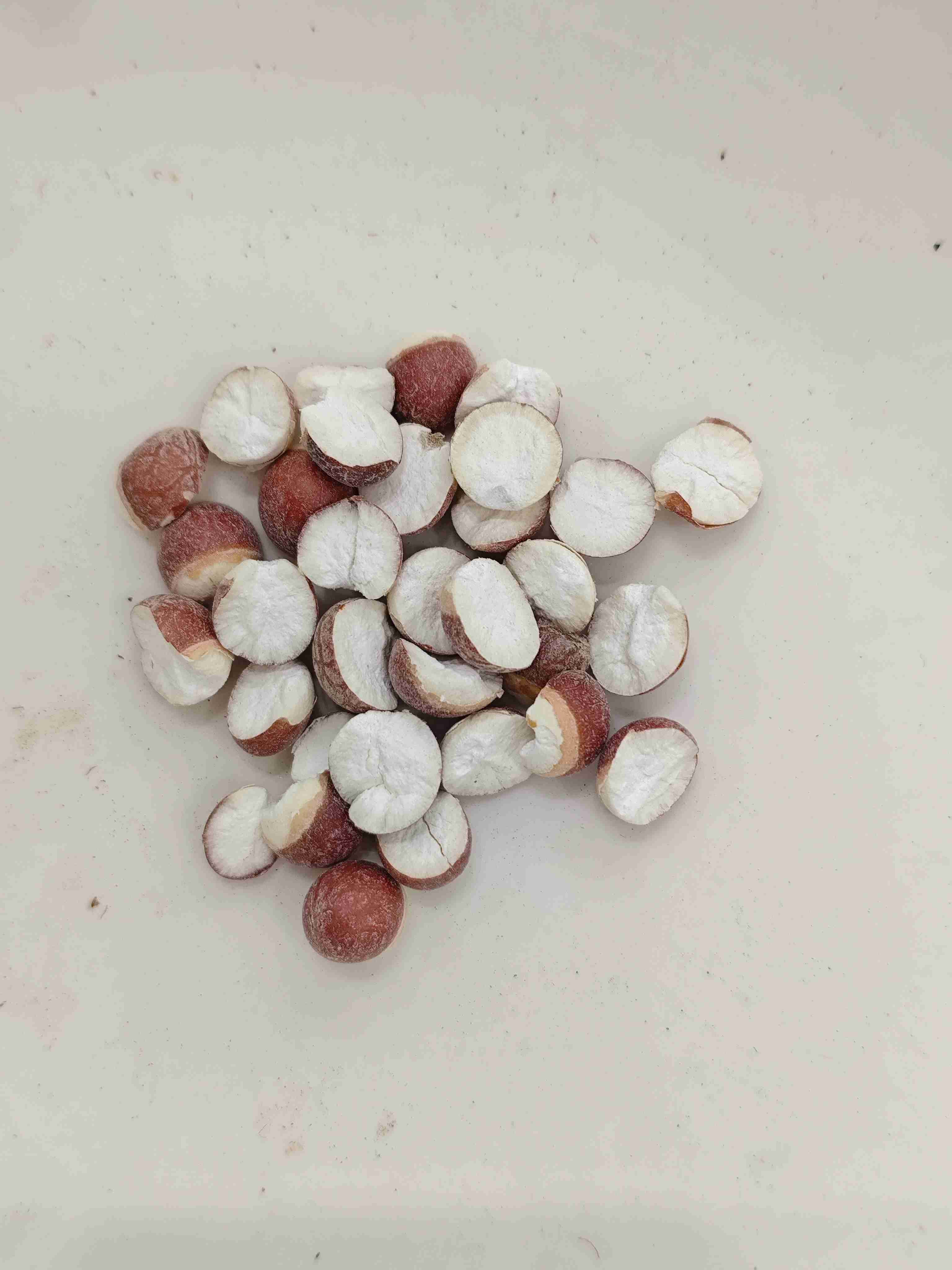 Hạt giống Euryale (Qiànshí)