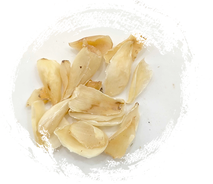 Bóng đèn Lily (Baihe)