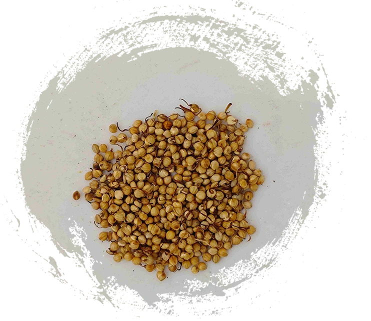 Gạo nướng (chǎo gǔ yá)