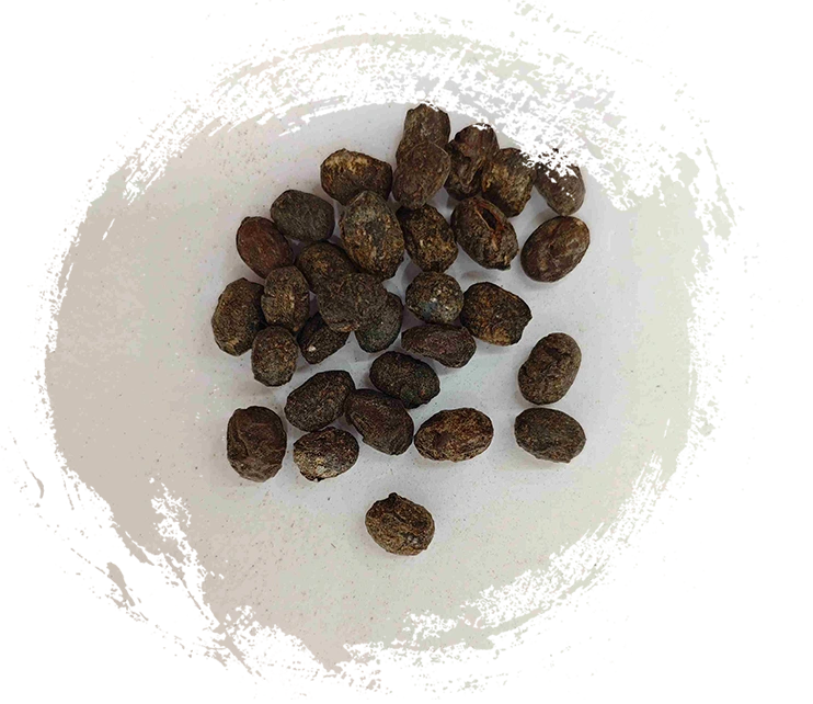 Đậu nành lên men (dàn dòu chǐ)