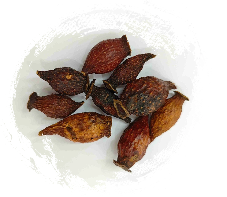 Mâm xôi vàng (Jīnyīngzǐ)