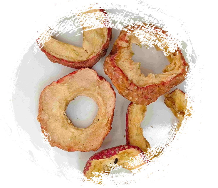 Hiểu các chức năng của thực vật thảo dược trong y học cổ truyền Trung Quốc