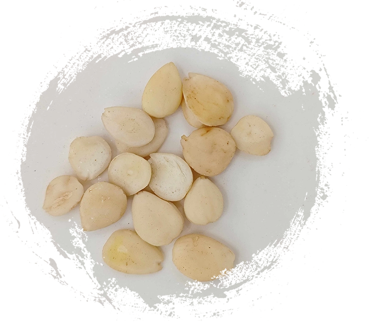 Kết hợp cây thuốc TCM vào thói quen chăm sóc sức khỏe của bạn: Mẹo thực tế và lợi ích