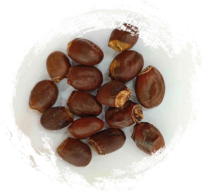 Hạt lychee (Lìzhī Hé)