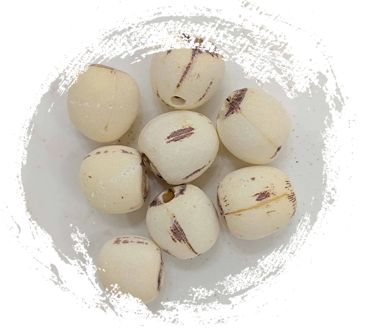 Hạt sen (Liánzǐ)