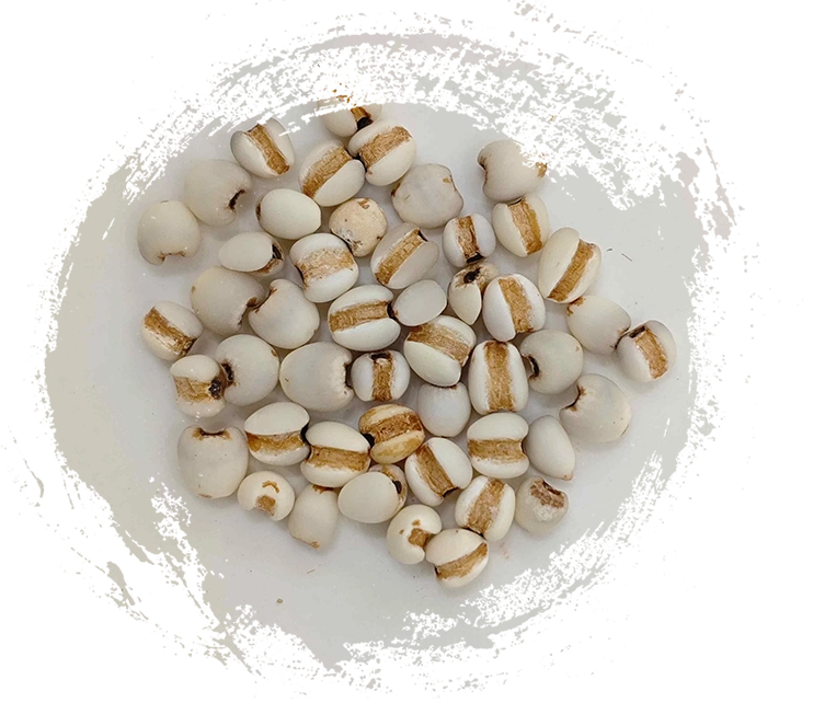 Hạt giống Coix (yìyǐrén)