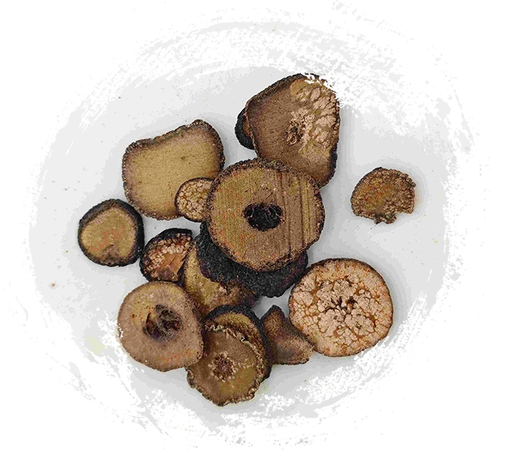 Màu cam đắng chưa trưởng thành (zhǐshí)