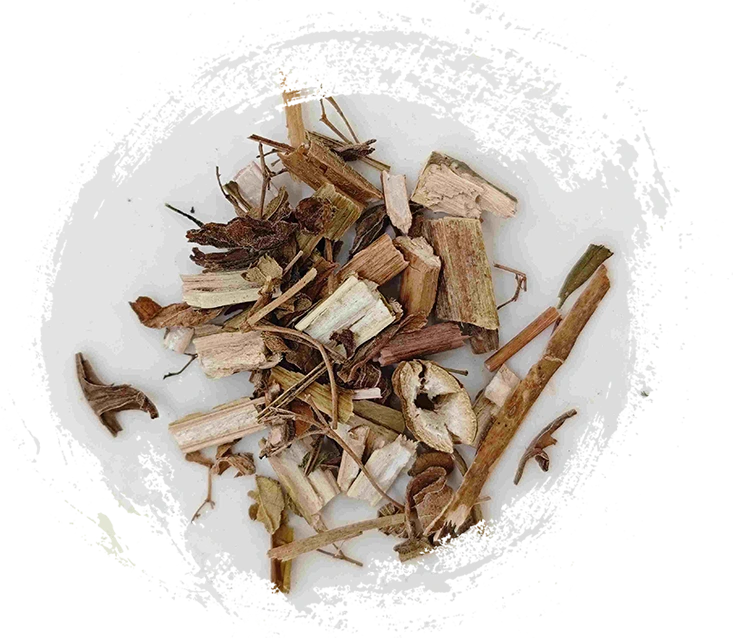 Bị đánh bại Sage Herb (BÀIJIANGCǎO)