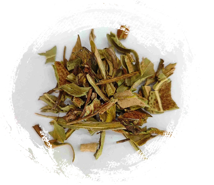 Stonefern (Shíwém)