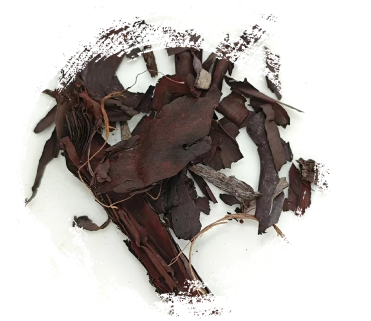 Cơ chế hoạt động của thuốc thảo dược Trung Quốc: Nguyên lý, cơ chế và ứng dụng thực tế