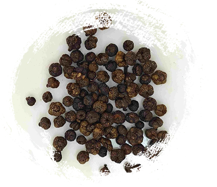 Quả Evodia chế biến (Zhì Wúzhūyú)