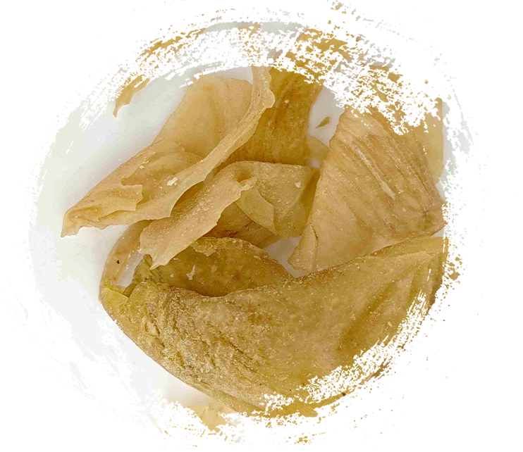 Công dụng chính và vai trò điều trị của các chất trong Y học cổ truyền Trung Quốc (TCM) có nguồn gốc từ động vật