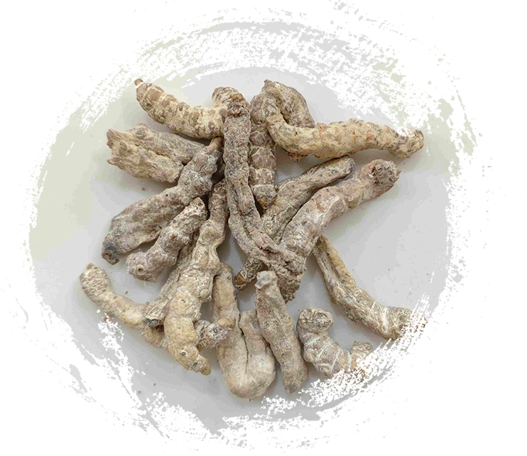 Cơn lụa cứng (Jiāngcán)